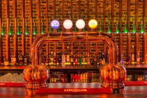 1496581_735326716553280_2588151877601320306_o